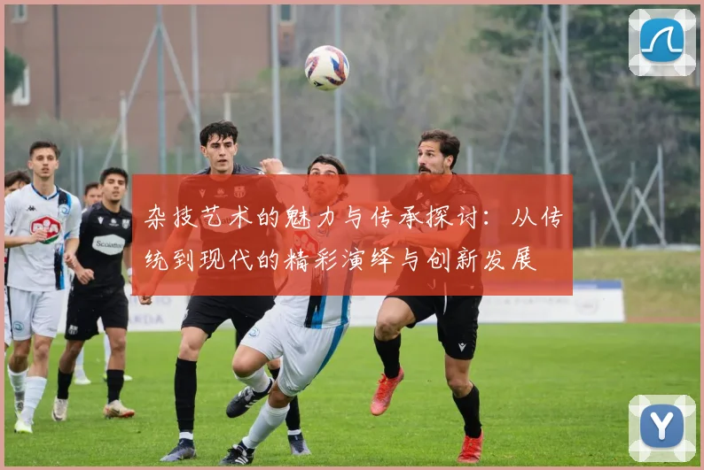 杂技艺术的魅力与传承探讨：从传统到现代的精彩演绎与创新发展